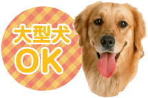 京都の観光タクシーでペットと観光なら【木谷わんわんタクシー】 | 大型犬