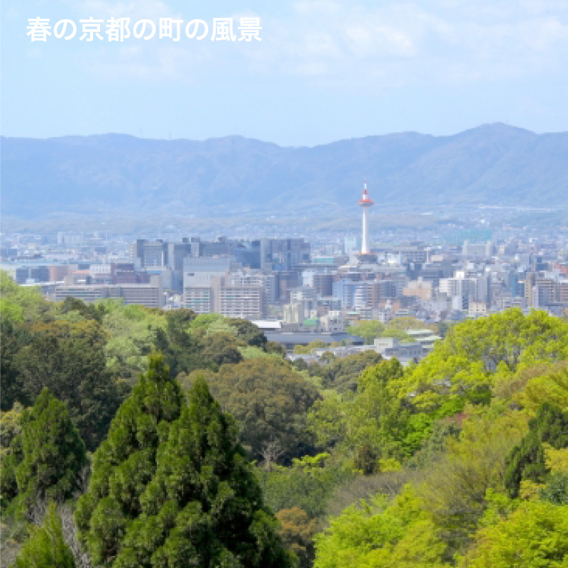 木谷わんわんタクシー 犬 猫 ペットと一緒に京都の街を観光できる1日1組だけの時間貸切専用タクシー